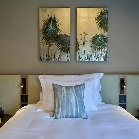 Charming In And Deluxe Apartment